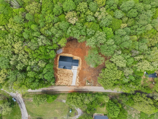 4151 Southside Rd, Southside, TN 37171 - photo 34
