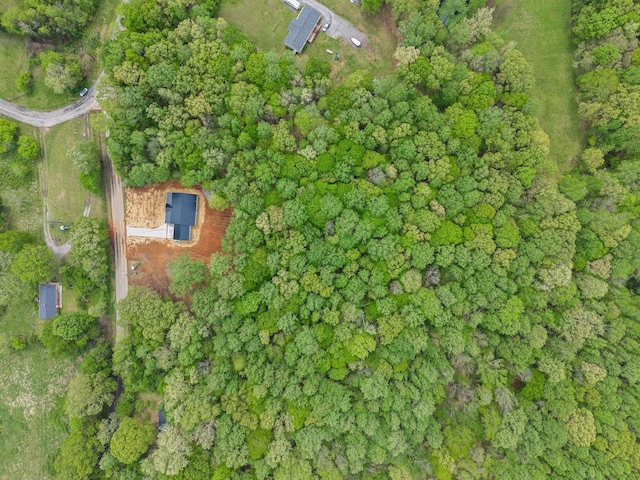 4151 Southside Rd, Southside, TN 37171 - photo 42