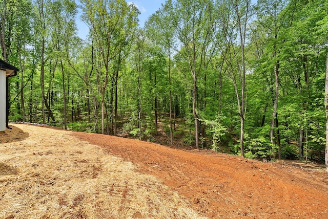 4151 Southside Rd, Southside, TN 37171 - photo 39