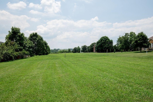 1221 Bonnhaven Dr, Franklin, TN 37067 - photo 32