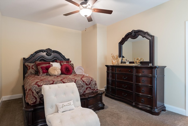 823 Shady Bluff Trl, Clarksville, TN 37043 - photo 29