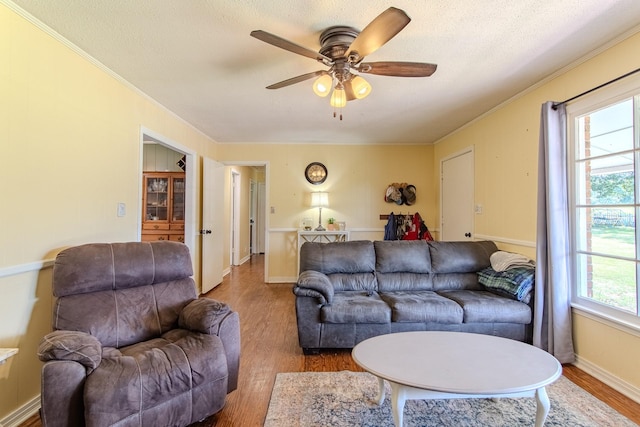 996 Matrose Carrolls Rd, Michie, TN 38357 - living room with wood finished floors, crown molding, ceiling fan, and a textured ceiling