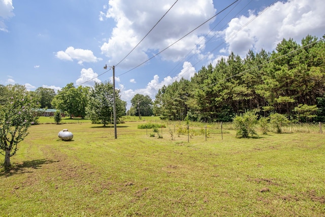996 Matrose Carrolls Rd, Michie, TN 38357 - view of green lawn