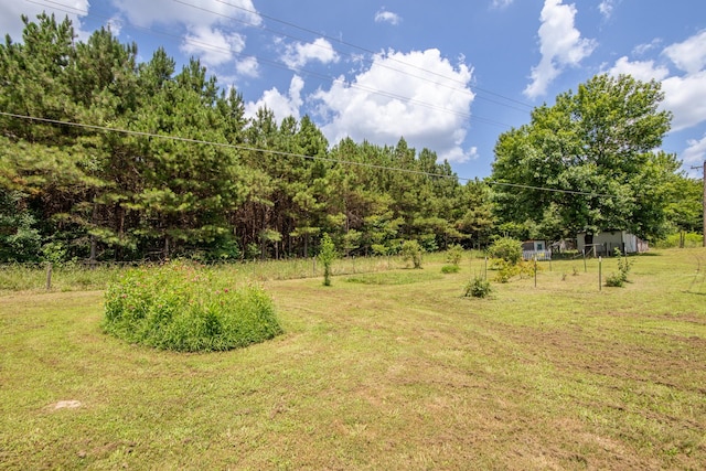 996 Matrose Carrolls Rd, Michie, TN 38357 - view of grassy yard