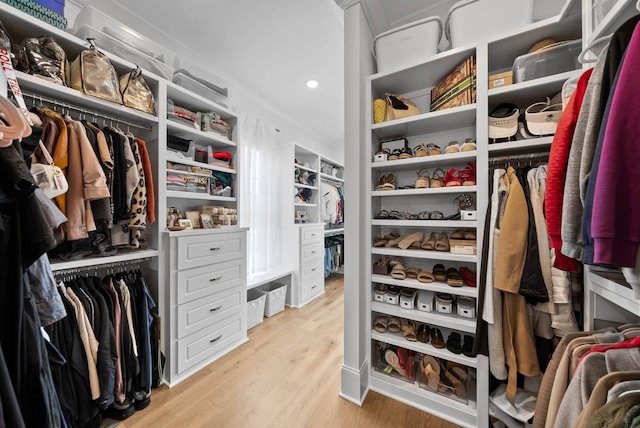 8869 Edgecomb Dr, College Grove, TN 37046 - spacious closet featuring light wood-style flooring