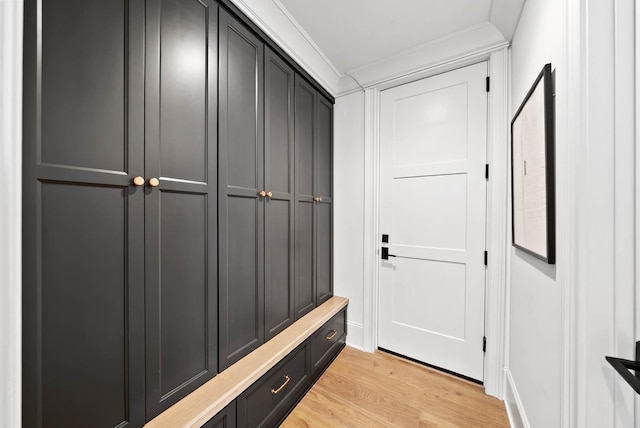 8869 Edgecomb Dr, College Grove, TN 37046 - mudroom featuring crown molding and light wood finished floors