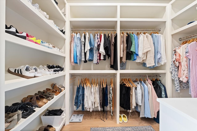 2157 Abiff Rd, Burns, TN 37029 - view of walk in closet