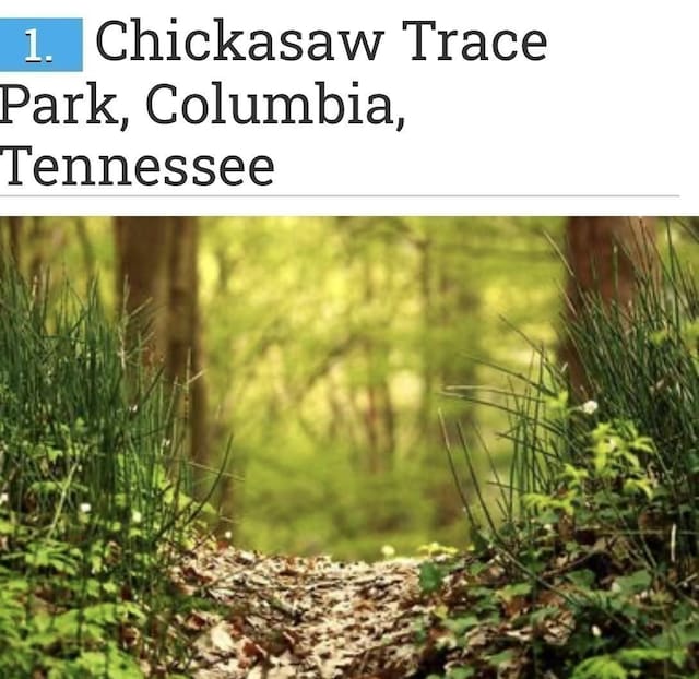 2208 Melk Ln, Columbia, TN 38401 - view of miscellaneous property collateral