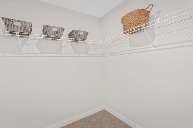 2208 Melk Ln, Columbia, TN 38401 - spacious closet with carpet floors