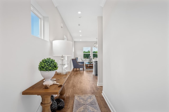 2208 Melk Ln, Columbia, TN 38401 - hallway featuring wood finished floors and recessed lighting