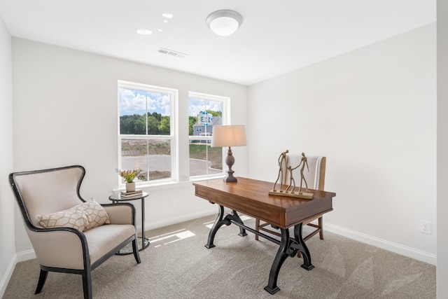 2208 Melk Ln, Columbia, TN 38401 - office with carpet flooring and baseboards