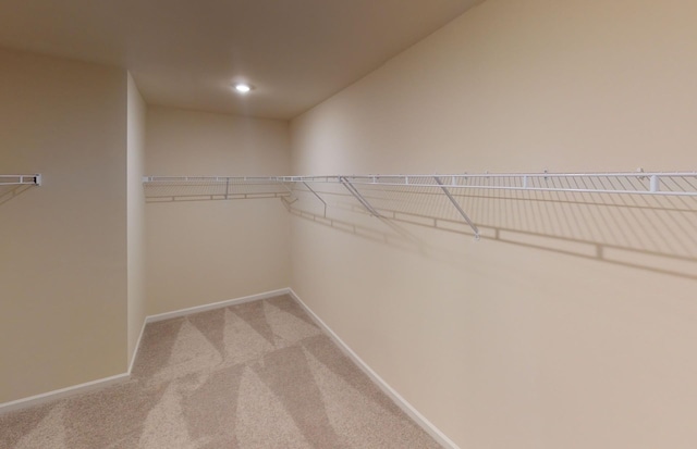 4456 Jack Faulk St, Murfreesboro, TN 37127 - photo 12