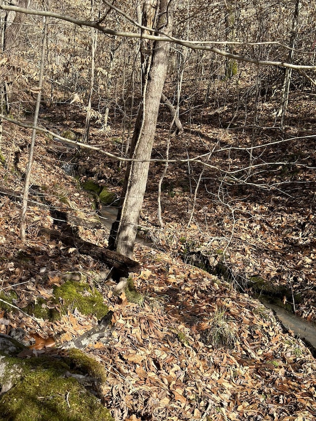 5681 Old Hohenwald Rd, Linden, TN 37096