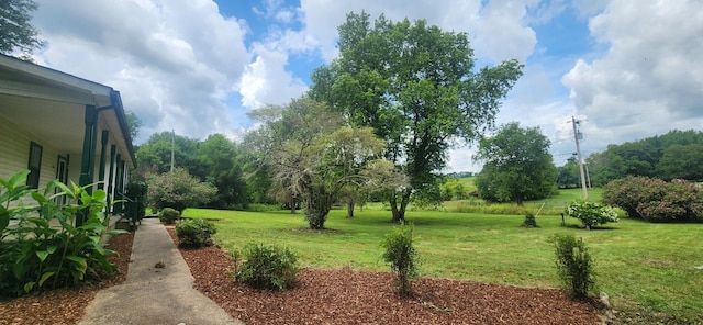2877 Bryant Rd, Culleoka, TN 38451 - view of green lawn