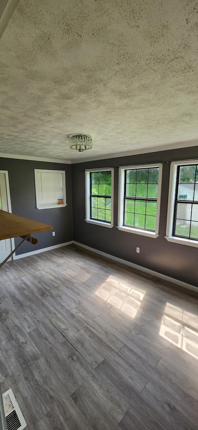 2877 Bryant Rd, Culleoka, TN 38451 - empty room featuring wood finished floors and a textured ceiling