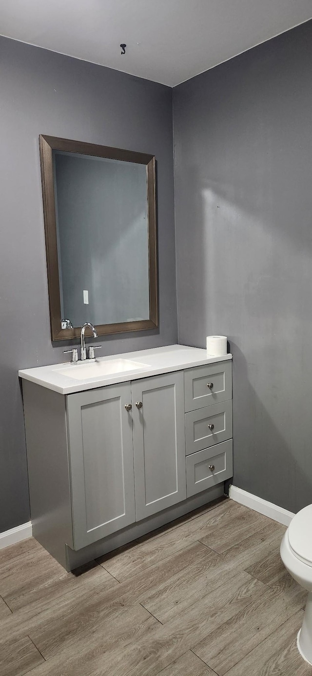 2877 Bryant Rd, Culleoka, TN 38451 - bathroom with wood finished floors and vanity