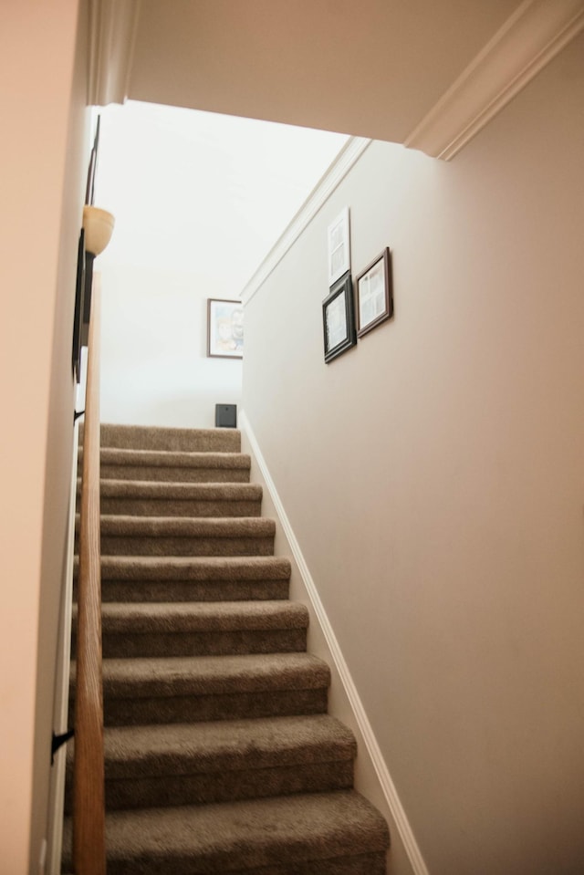 204 Allen Dr, Greenbrier, TN 37073 - photo 31