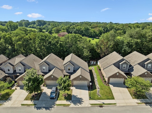 1037 Irish Way, Spring Hill, TN 37174 - aerial perspective of suburban area with a heavily wooded area