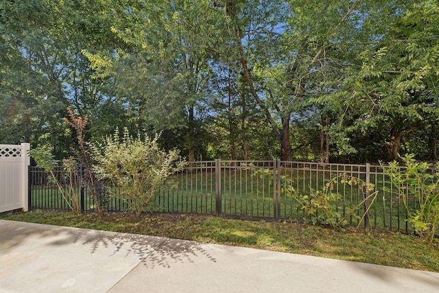 1037 Irish Way, Spring Hill, TN 37174 - view of yard