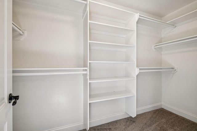1037 Irish Way, Spring Hill, TN 37174 - spacious closet with carpet