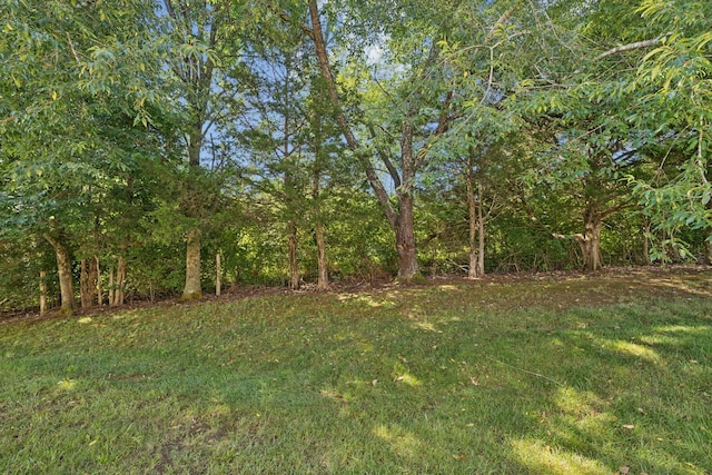 1037 Irish Way, Spring Hill, TN 37174 - view of grassy yard