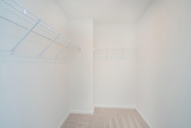 462 Jet Stream Dr, La Vergne, TN 37086 - spacious closet with carpet floors