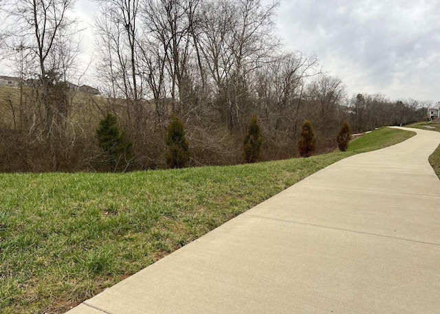 3388 Tucker Trce, Columbia, TN 38401 - surrounding community featuring a yard