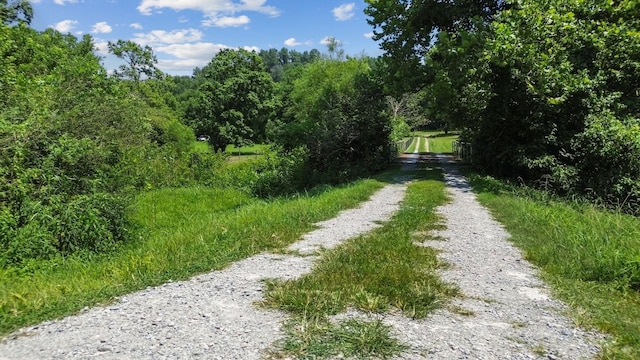 3035 Culleoka Hwy, Culleoka, TN 38451 - view of dirt / gravel road featuring a wooded view