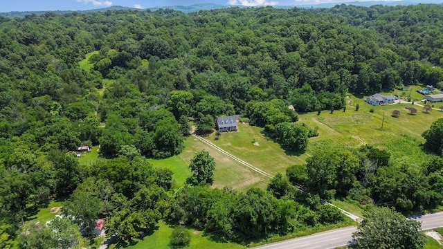 3035 Culleoka Hwy, Culleoka, TN 38451 - aerial view of a forest