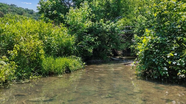 3035 Culleoka Hwy, Culleoka, TN 38451 - view of road