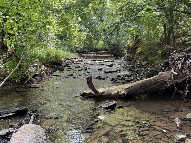 3035 Culleoka Hwy, Culleoka, TN 38451 - view of undeveloped land