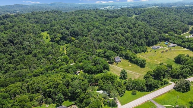 3035 Culleoka Hwy, Culleoka, TN 38451 - photo 59