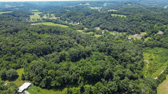 3035 Culleoka Hwy, Culleoka, TN 38451 - photo 61