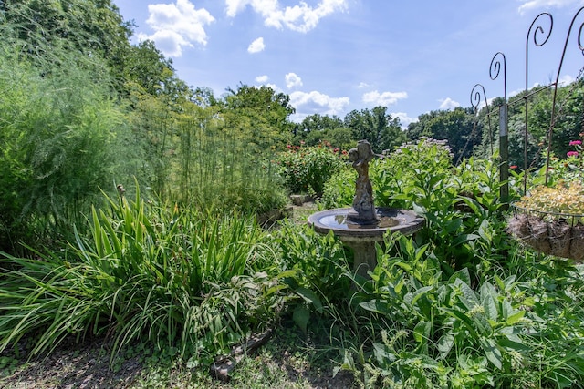 824 Dry Creek Rd, Goodlettsville, TN 37072 - photo 52