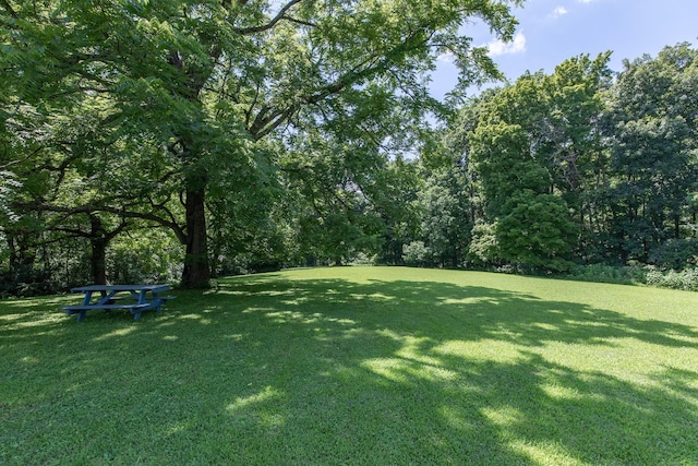 824 Dry Creek Rd, Goodlettsville, TN 37072 - photo 72