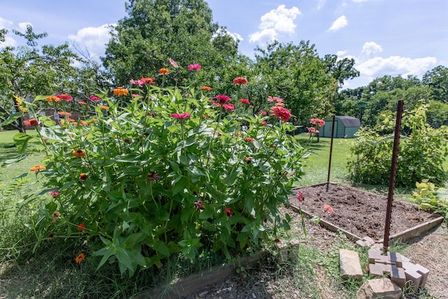 824 Dry Creek Rd, Goodlettsville, TN 37072 - photo 76