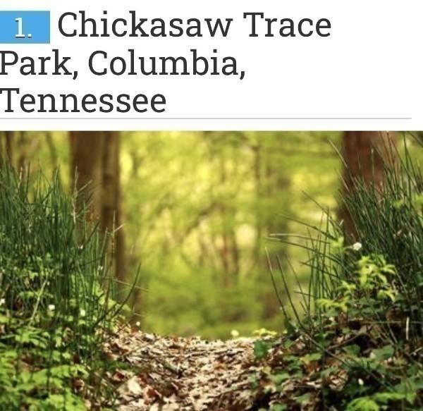 1922 Hildebrand Ln, Columbia, TN 38401 - view of miscellaneous listing collateral
