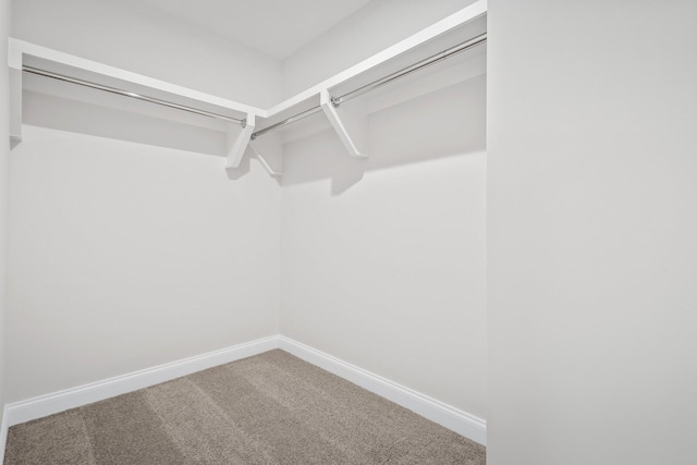 1922 Hildebrand Ln, Columbia, TN 38401 - spacious closet with carpet flooring