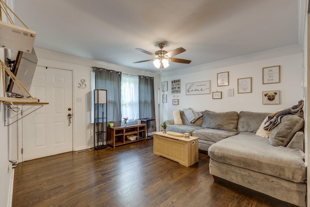 528 Maple St, Pulaski, TN 38478 - living area featuring a ceiling fan, dark wood finished floors, and crown molding