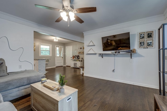 528 Maple St, Pulaski, TN 38478 - living area with crown molding, dark wood-type flooring, and a ceiling fan