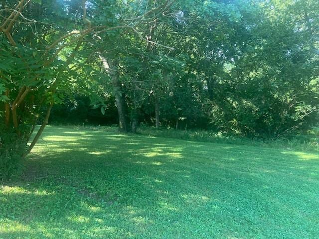 320 Shepherd Hills Dr, Madison, TN 37115 - view of green lawn