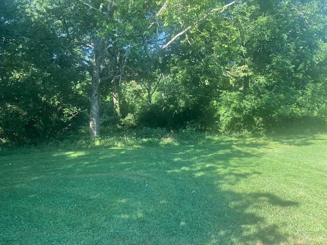 320 Shepherd Hills Dr, Madison, TN 37115 - view of green lawn
