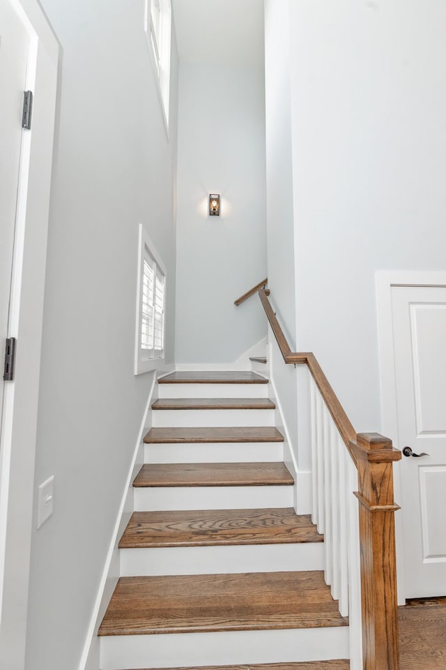 7819 Santos Dr, Murfreesboro, TN 37129 - photo 25