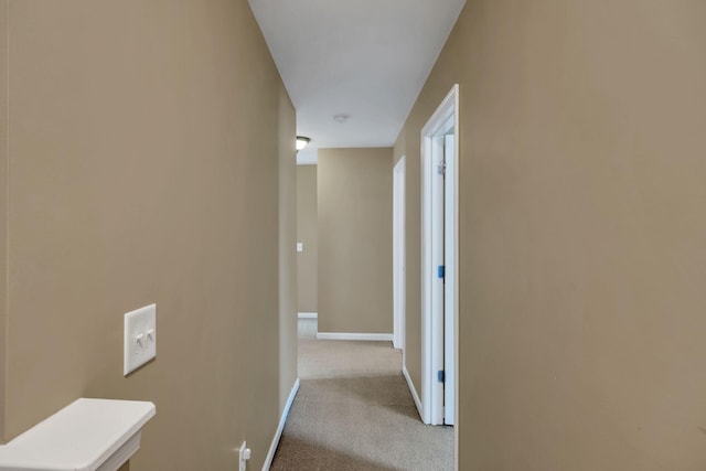 2008 Kingston Pl, Spring Hill, TN 37174 - hallway with carpet and baseboards