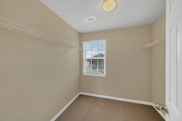 2008 Kingston Pl, Spring Hill, TN 37174 - spacious closet with carpet flooring