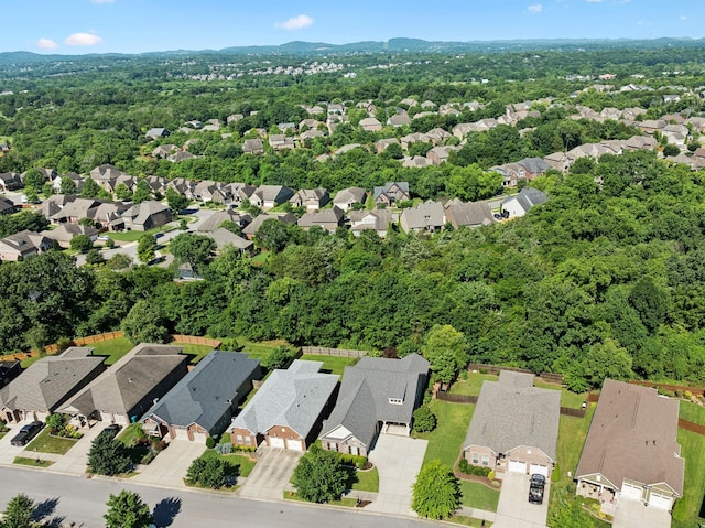 2158 Kirkwall Dr, Nolensville, TN 37135 - photo 39