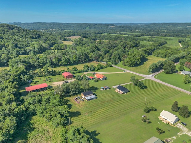 3729 Jimmy Gray Robinson Rd, Williamsport, TN 38487 - photo 39