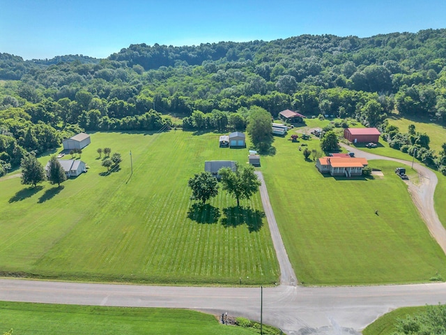 3729 Jimmy Gray Robinson Rd, Williamsport, TN 38487 - photo 35