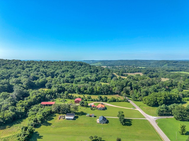 3729 Jimmy Gray Robinson Rd, Williamsport, TN 38487 - photo 37