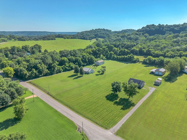 3729 Jimmy Gray Robinson Rd, Williamsport, TN 38487 - photo 36